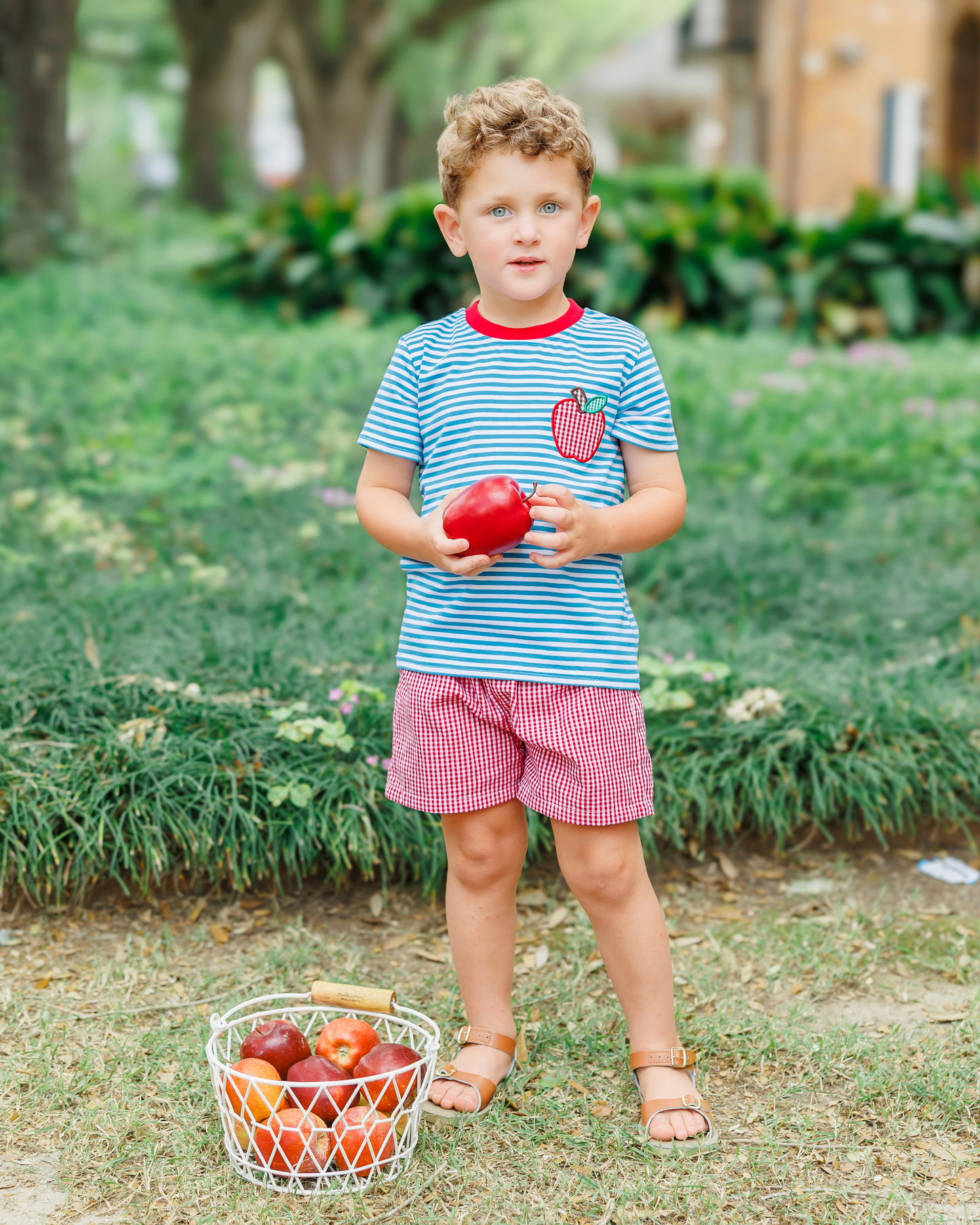 Boy Apple Pocket Appliqué Set